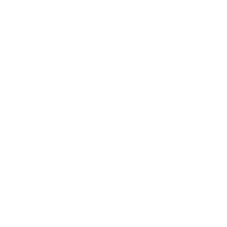 Avacus History